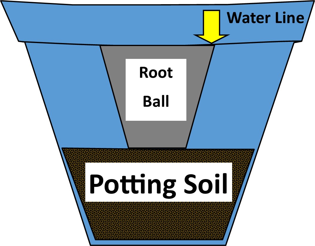 Potting or Uppotting a Container Grown Plant or Mixed Container Gardens
